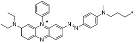 bhq3化学结构